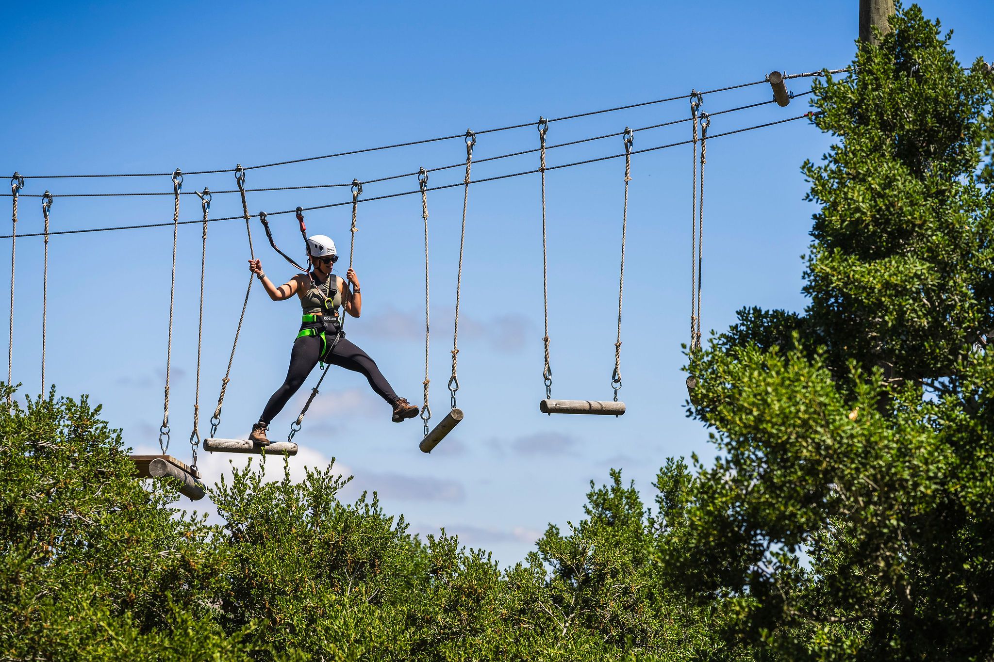 Rope bridges and obstacles in the treetop Adventure Park.