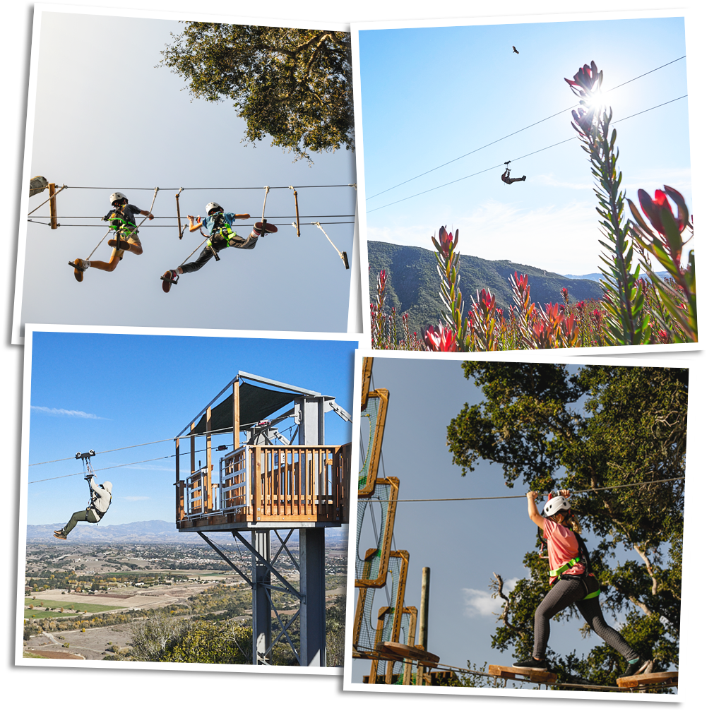 Zipline and Adventure Park bundle: guests on the treetop course and on the ziplines above the Santa Ynez Valley