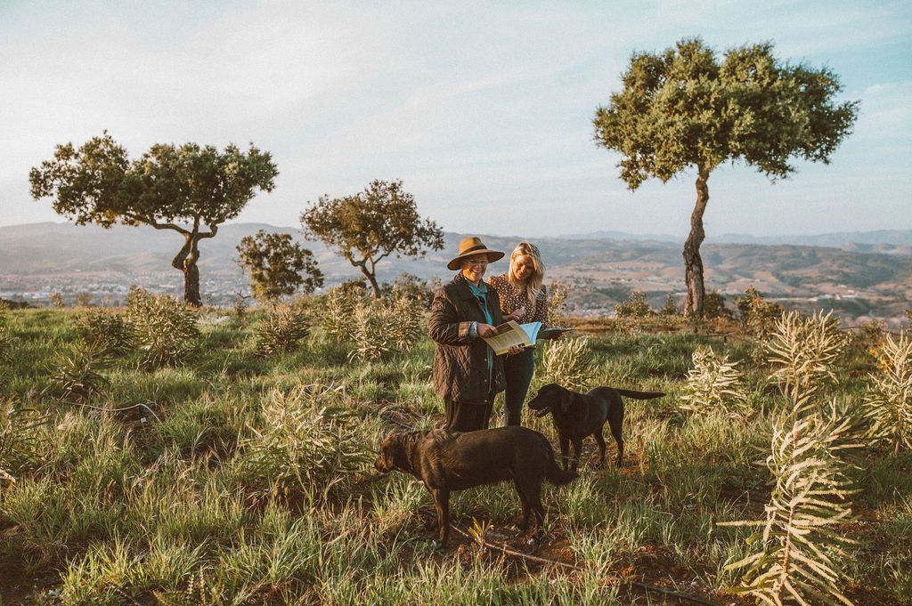 Hikers on the Hike & Fly route above the Santa Ynez Valley at Highline Adventures