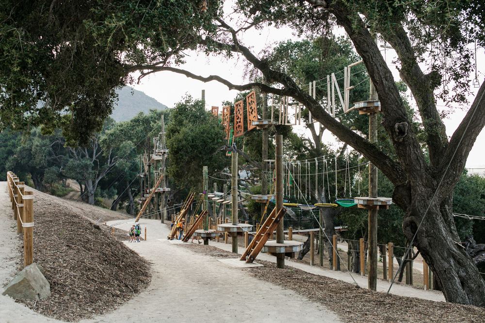 The Adventure Park course rising through the oak grove at Highline Adventures.