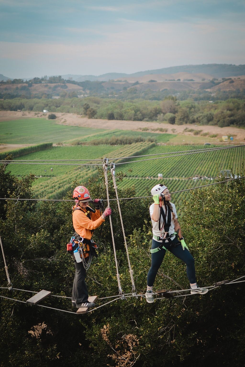 Two guests on the Adventure Park cables above the oaks with the valley fields behind