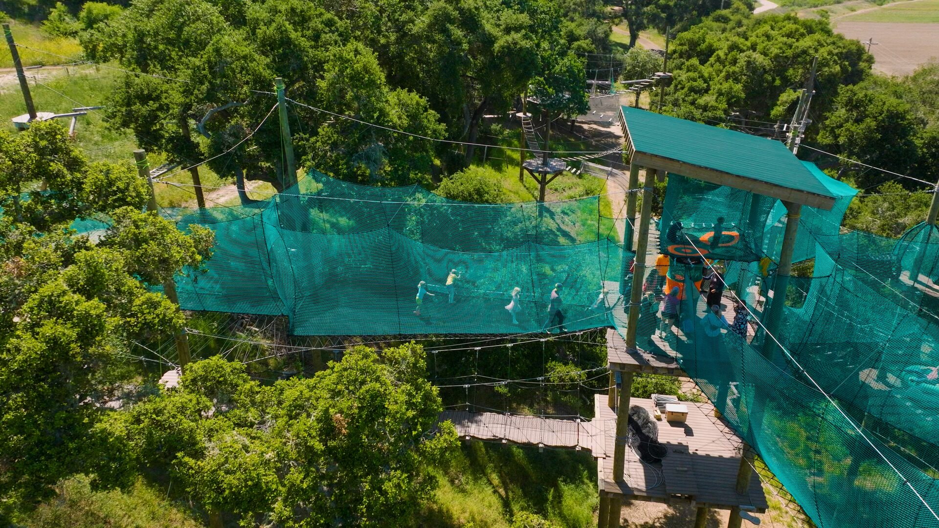 Aerial view of the Skynet Playground nets strung between the oak trees