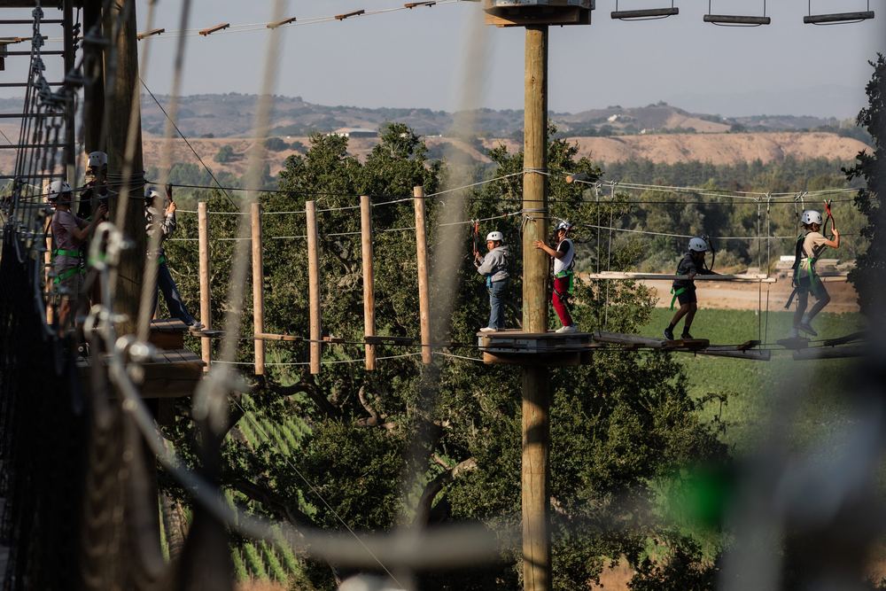 Students working their way through the suspended Adventure Park course in the oak grove.