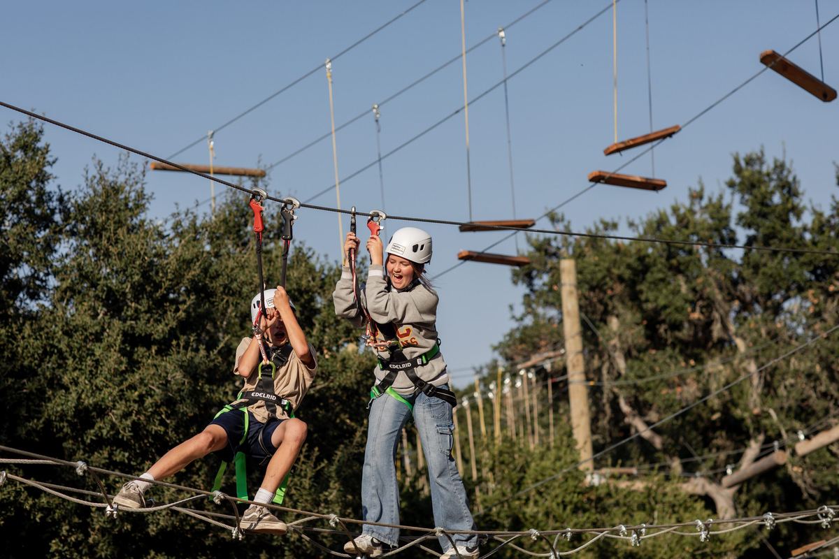 Two students in harnesses crossing a suspended log element side by side in the Adventure Park.