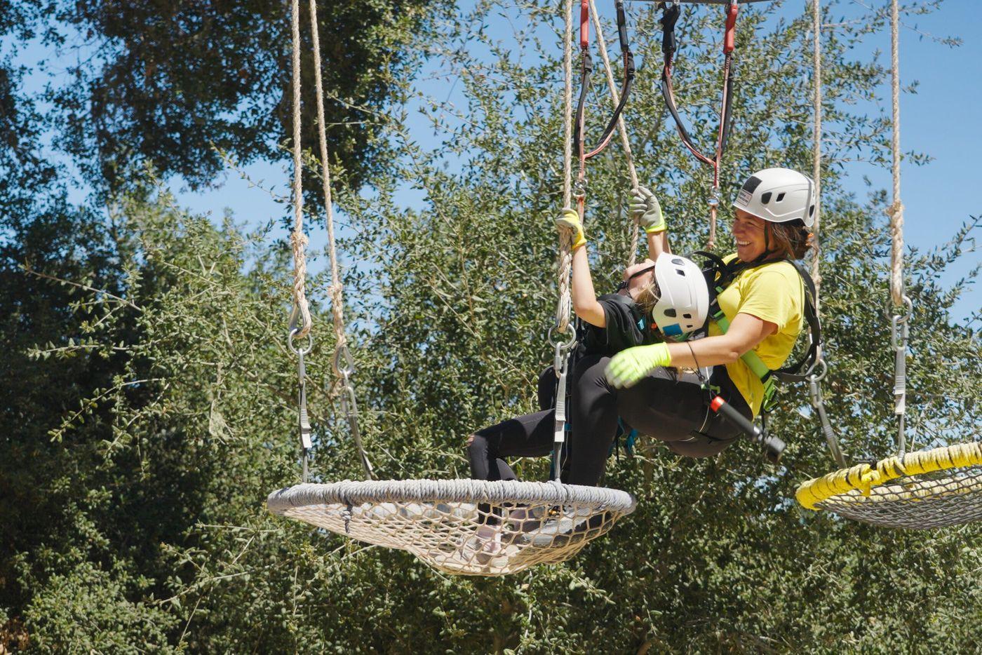 Climbers crossing rope elements of the treetop Adventure Park course strung between old oak trees.