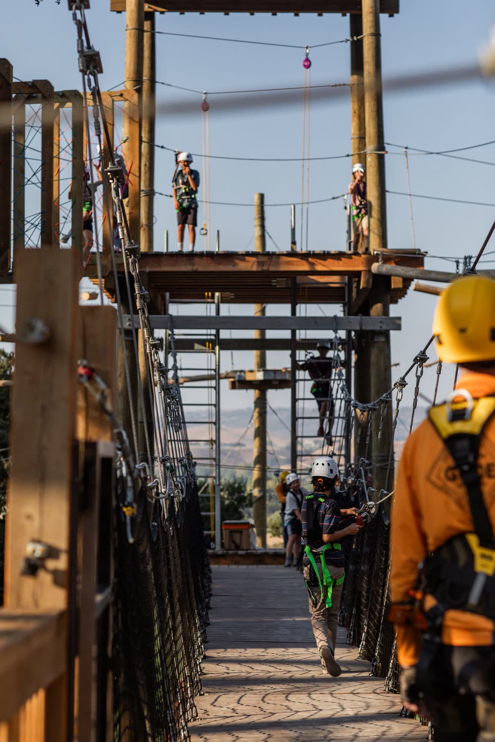 The suspended Adventure Park course built through an ancient oak grove.