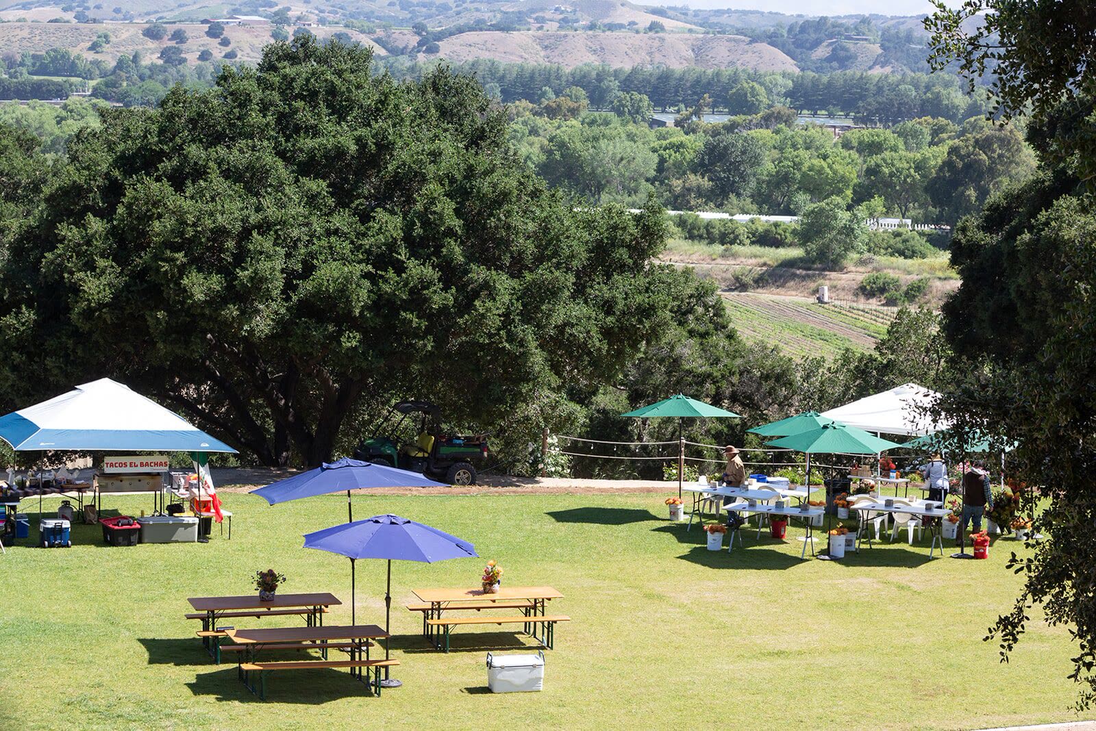 Picnic tables and shade umbrellas set up on the lawn for a group event at Highline Adventures.